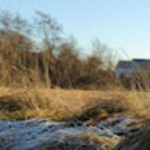 Meet your Posher, Tineke